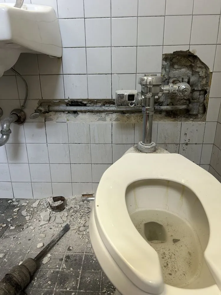 Slide of Plomeros Leon