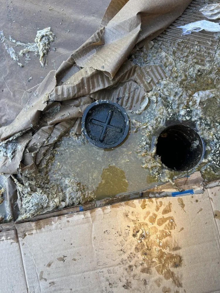 Slide of Plomeros Leon