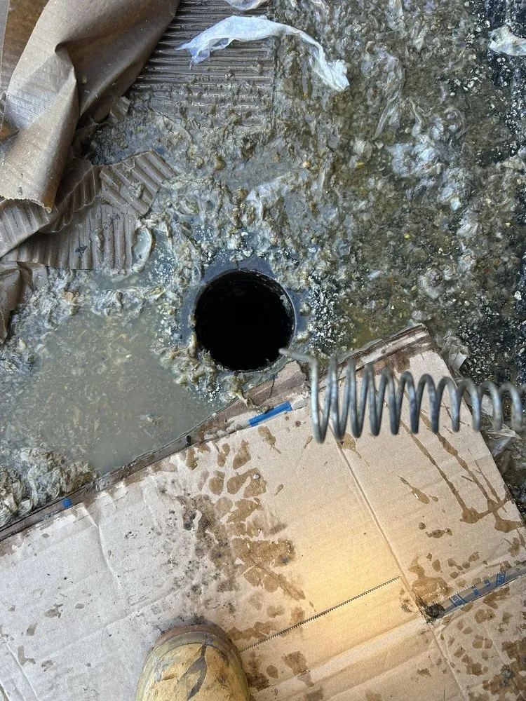 Slide of Plomeros Leon