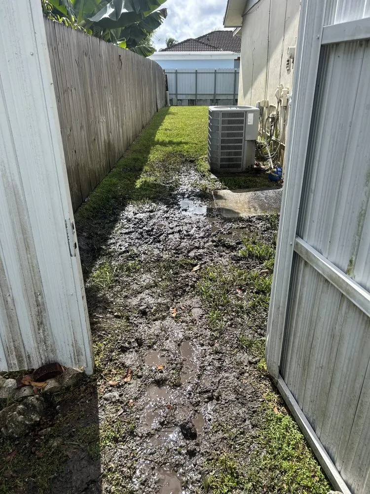 Slide of Plomeros Leon