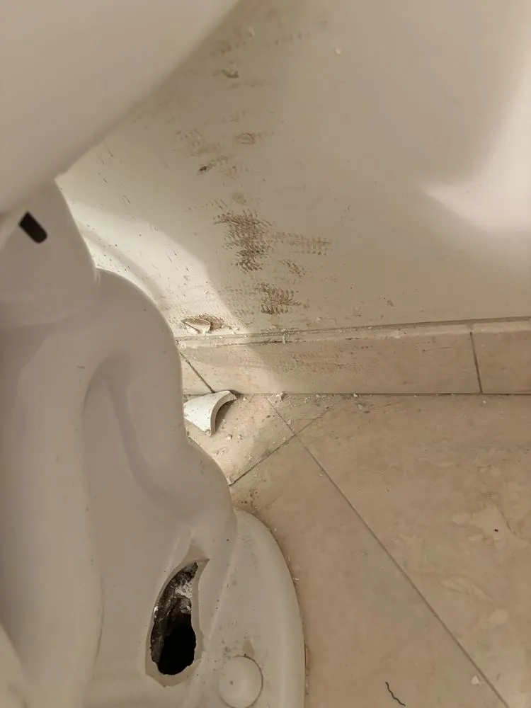 Quality water heater service experts serving Encinitas, CA - Plotke Plumbing & Heating