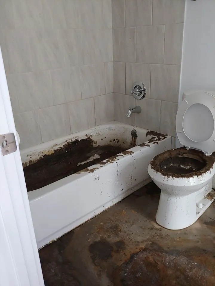 Slide of Plumb & Order