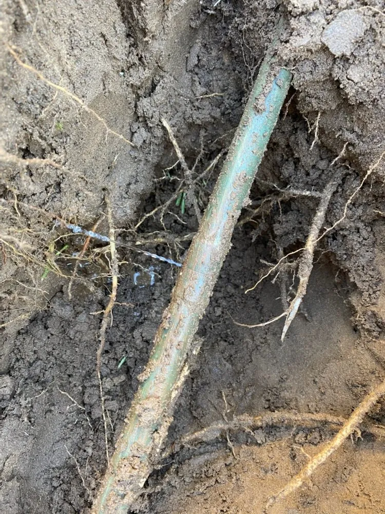 Slide of Plumb Bee Plumbing