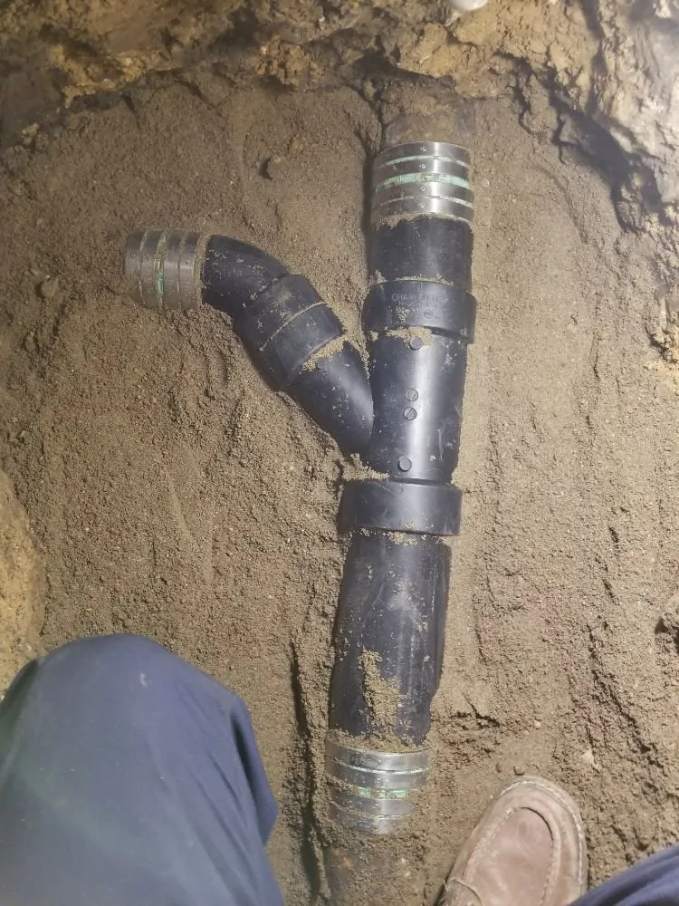 Affordable drain cleaning service in Bellflower, CA - Plumb Bee Plumbing