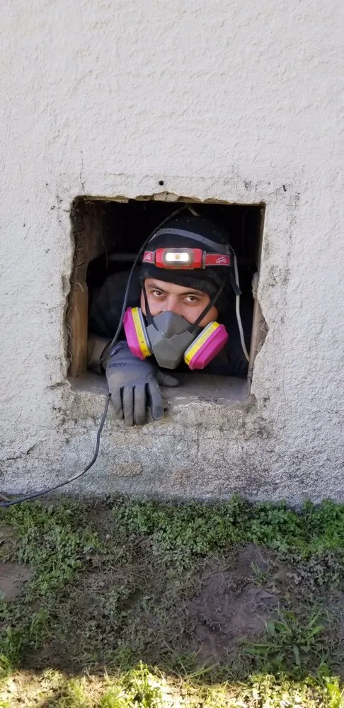 Slide of Plumb Bee Plumbing