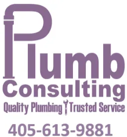 Slide of Plumb Consulting