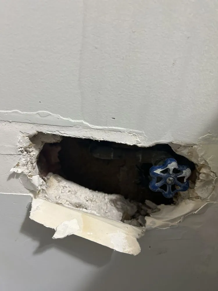 Slide of Plumb Crazy