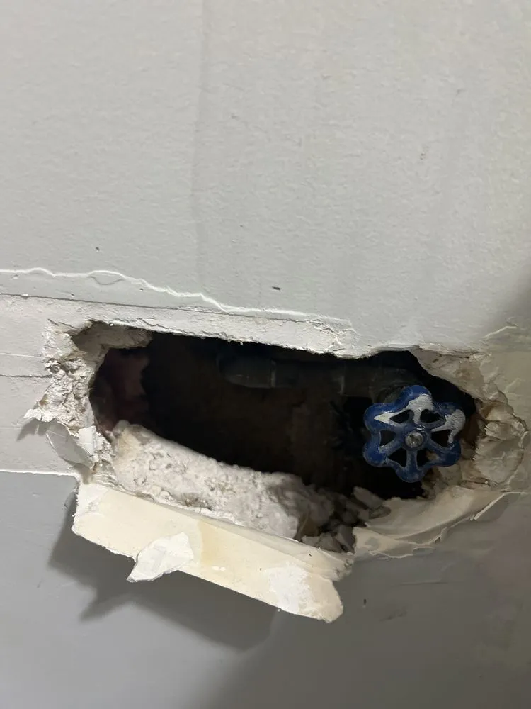 Slide of Plumb Crazy