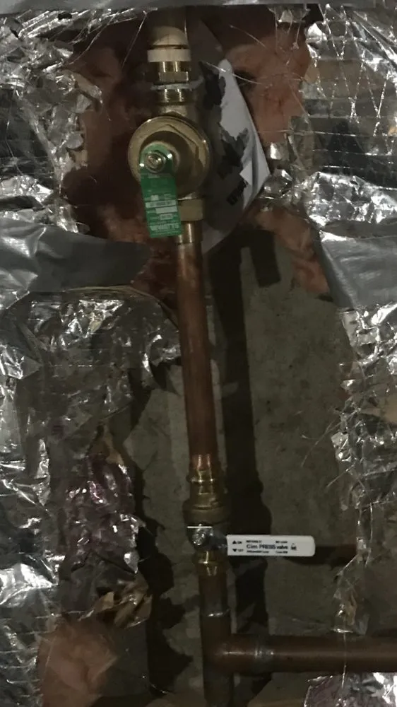 Slide of Plumb Crazy