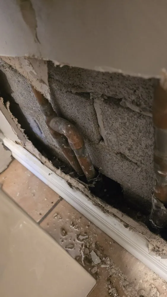 Slide of Plumb Crazy