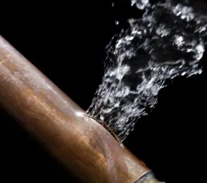 Slide of Plumb Crazy Plumbers