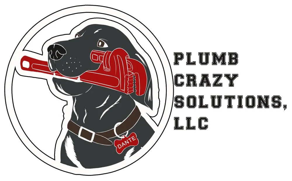 Slide of Plumb Crazy Solutions