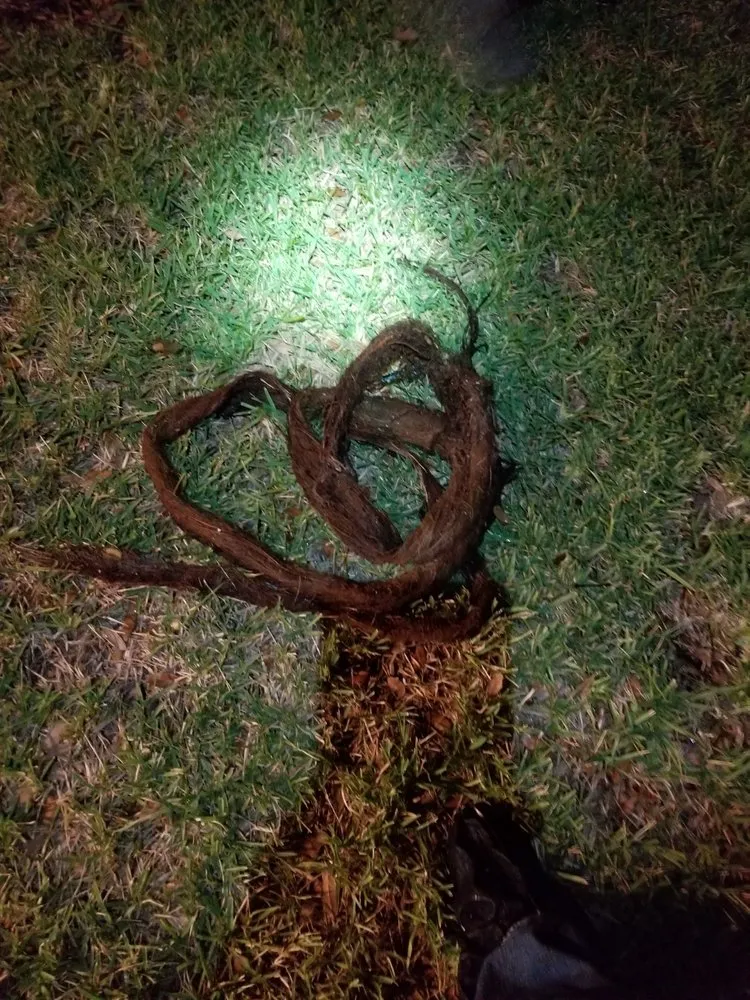 Slide of Plumb Doctors