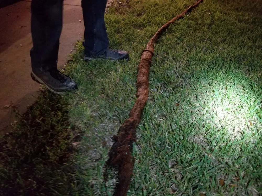 Slide of Plumb Doctors