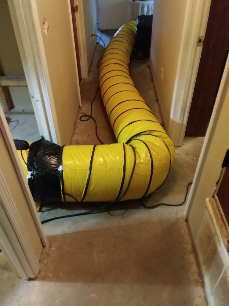 Slide of Plumb Honest Inc.