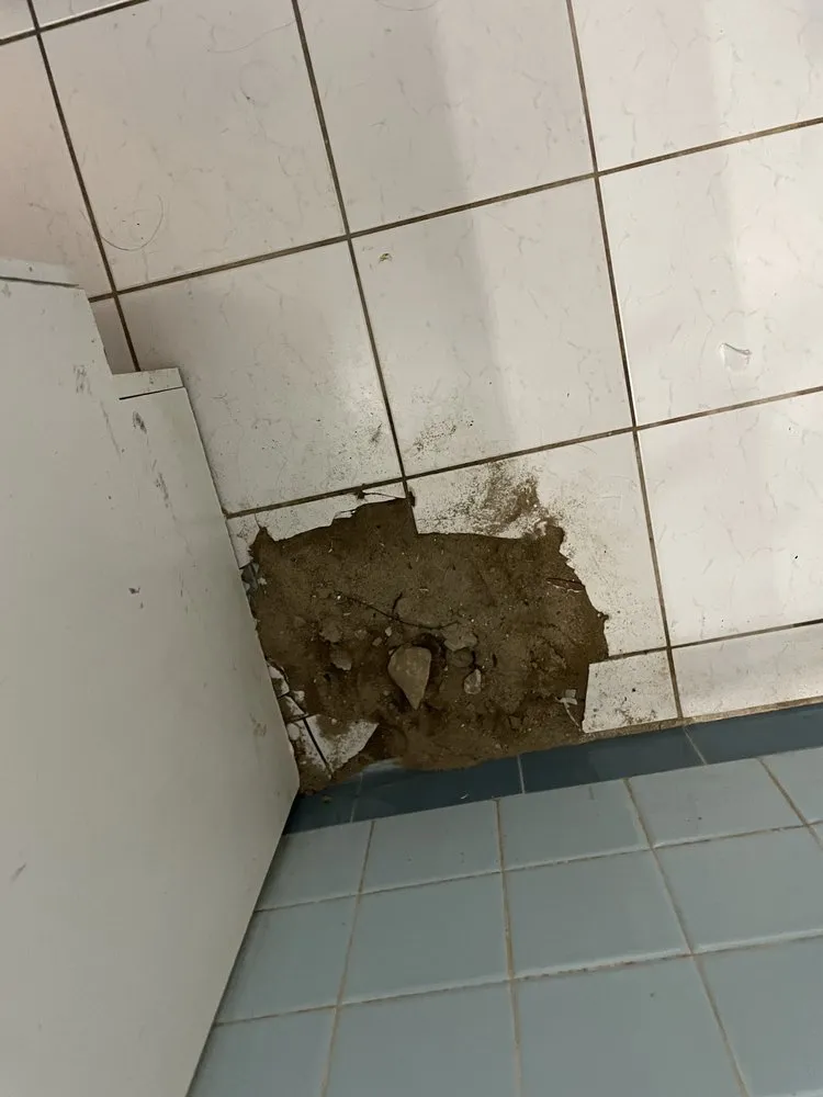 Slide of Plumb Insanity Plumbing