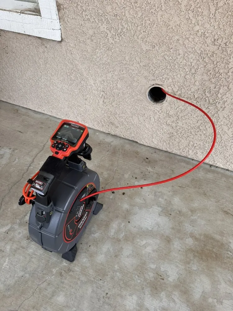 Slide of Plumb Kings