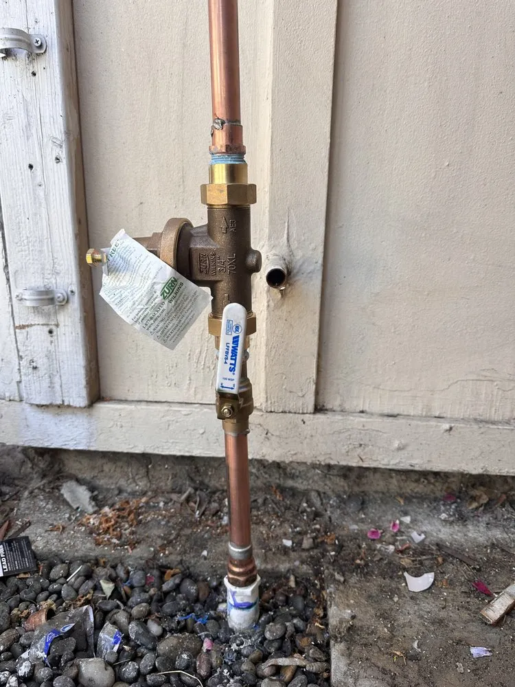 Slide of Plumb Kings