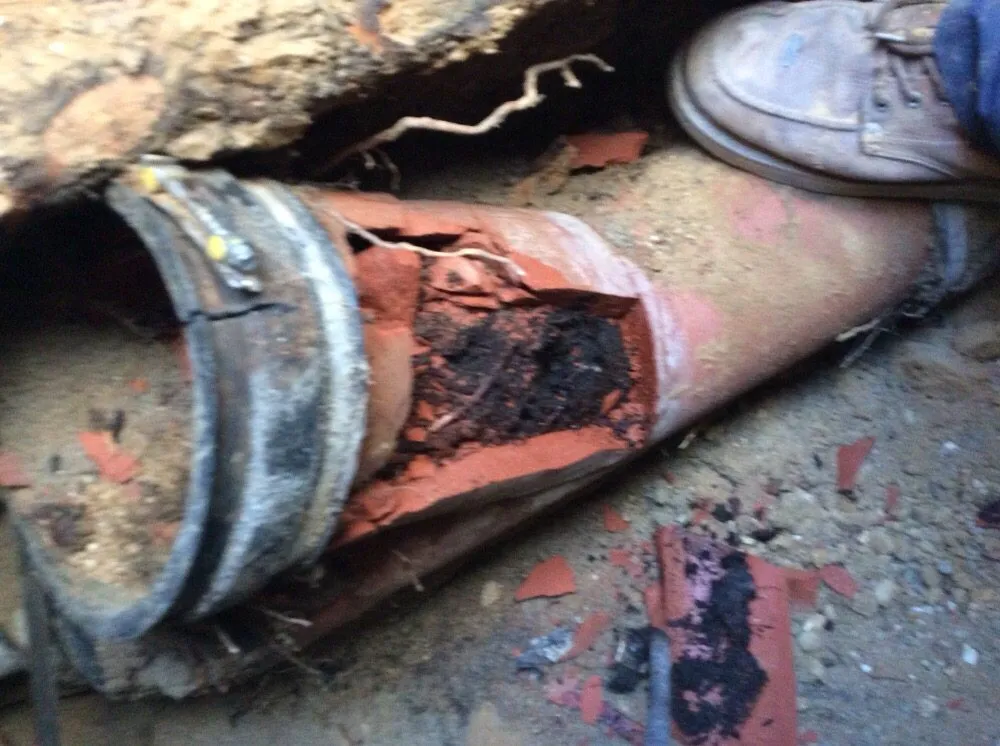 Slide of Plumb Masters