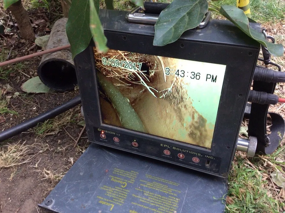 Slide of Plumb Masters