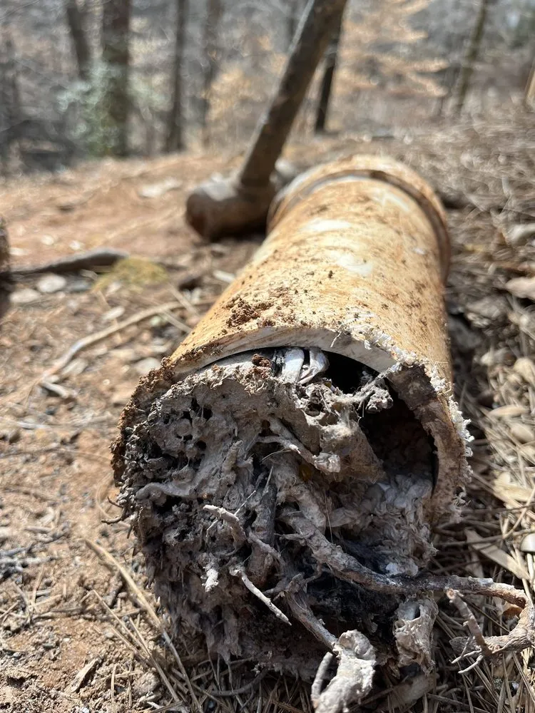 Slide of Plumb Medic