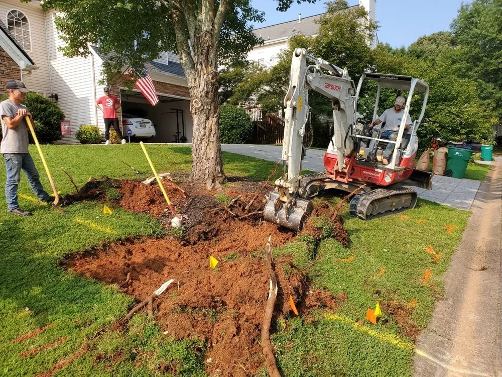 Slide of Plumb Medic