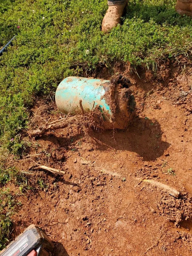 Slide of Plumb Medic