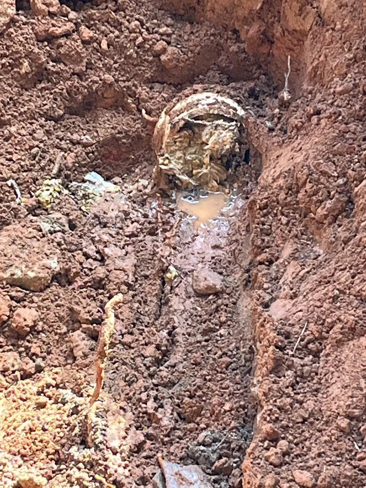 Slide of Plumb Medic