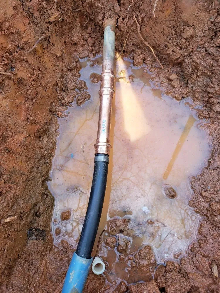 Slide of Plumb Patrol