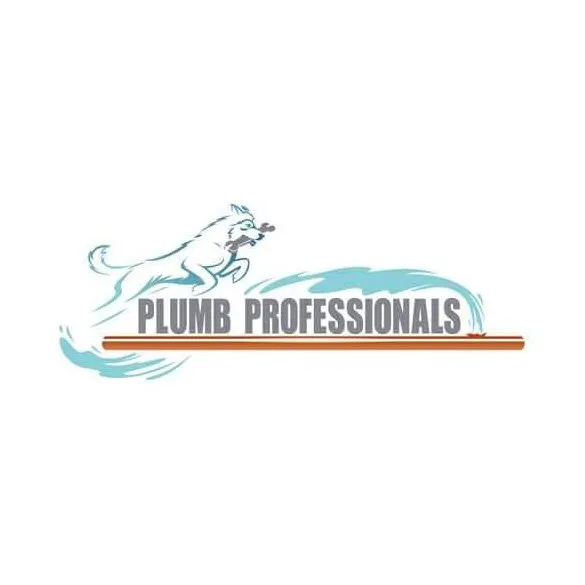 Slide of Plumb Professionals