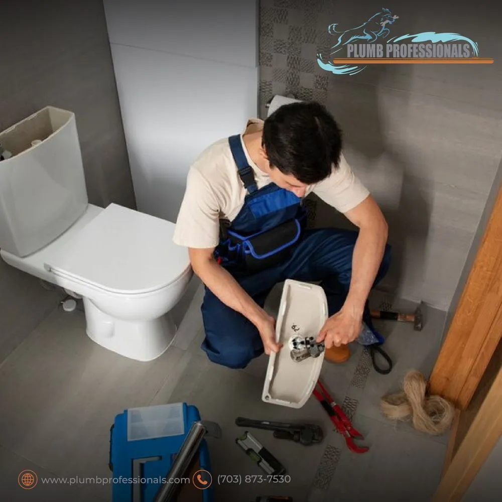 Slide of Plumb Professionals