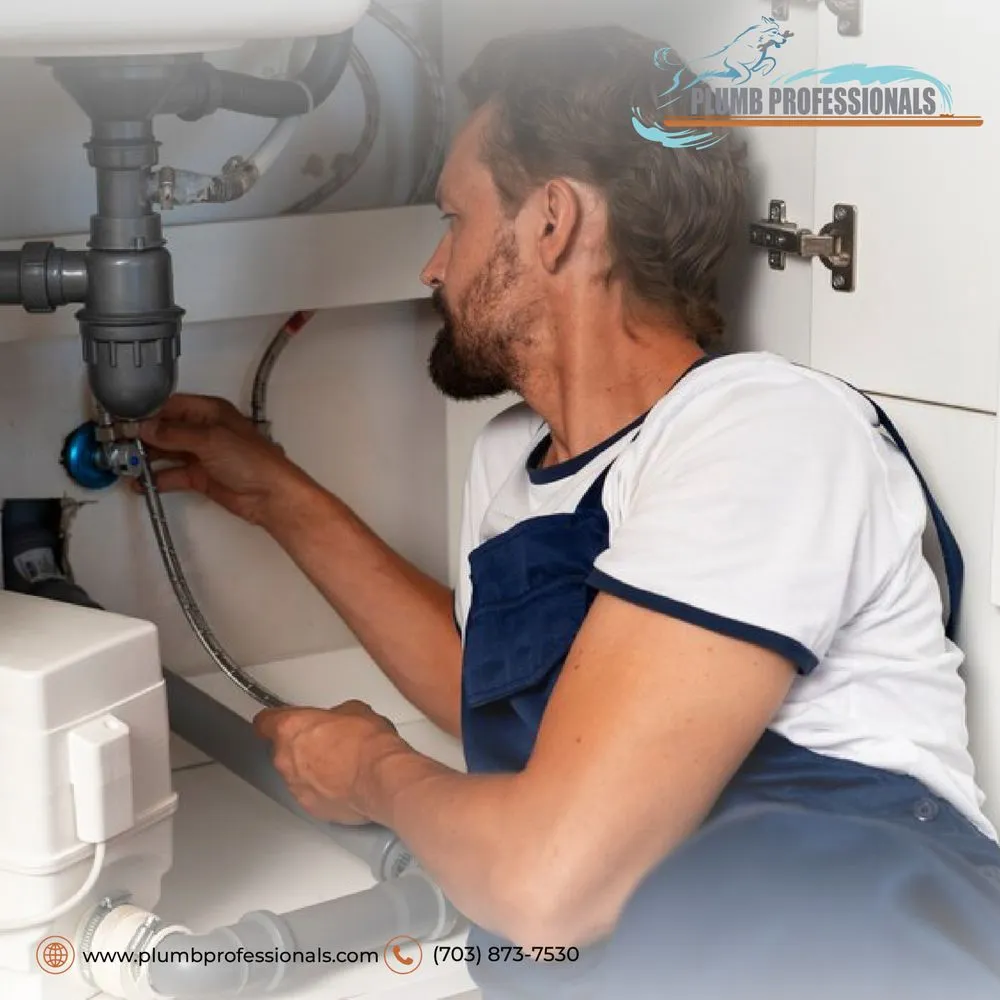 Slide of Plumb Professionals