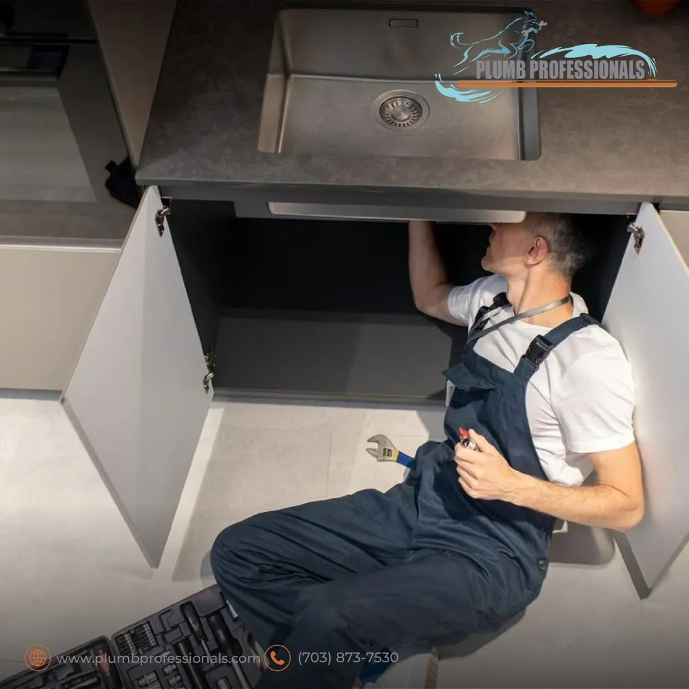 Slide of Plumb Professionals