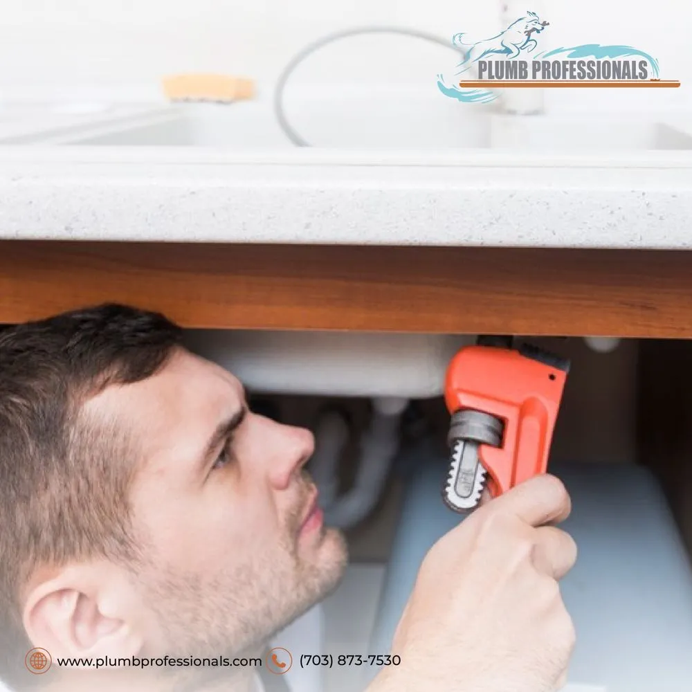 Slide of Plumb Professionals