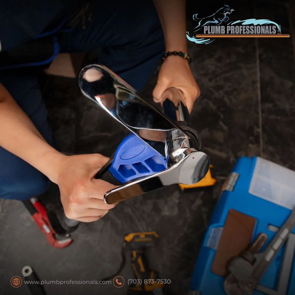 Slide of Plumb Professionals