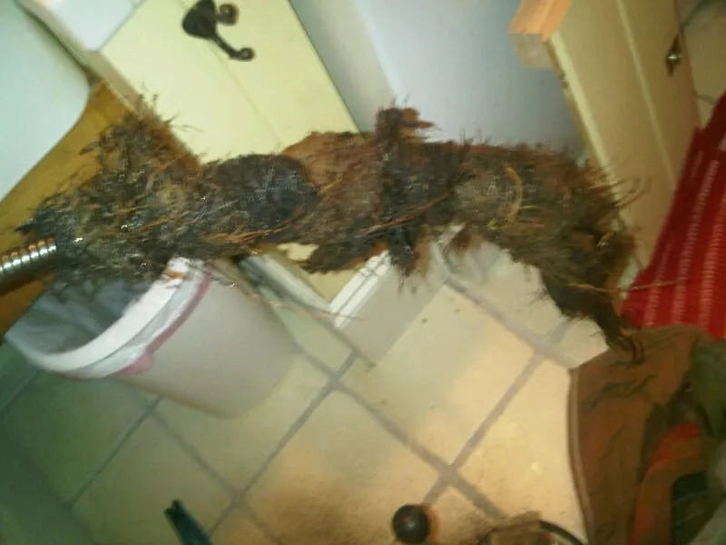 Slide of Plumb Pros, LLC