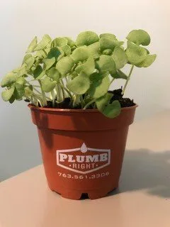 Slide of Plumb Right