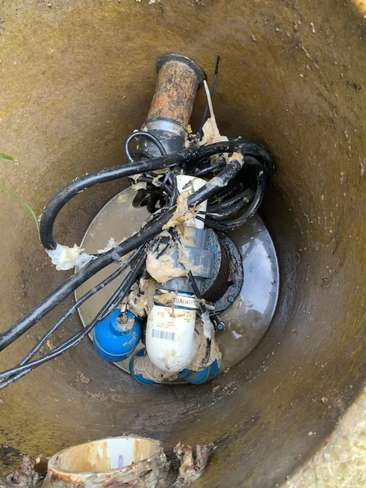 Slide of Plumb Texan llc