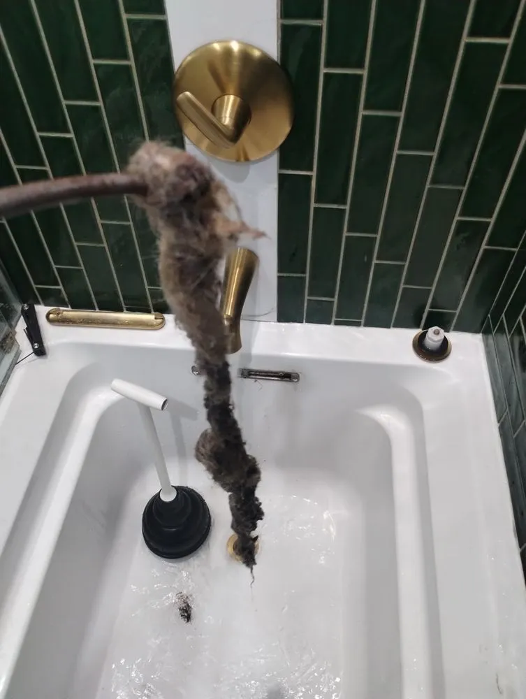 Slide of Plumb Wonder