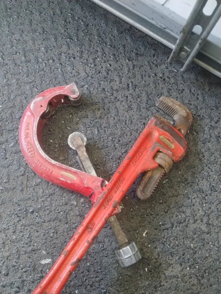 Slide of Plumb Wonder