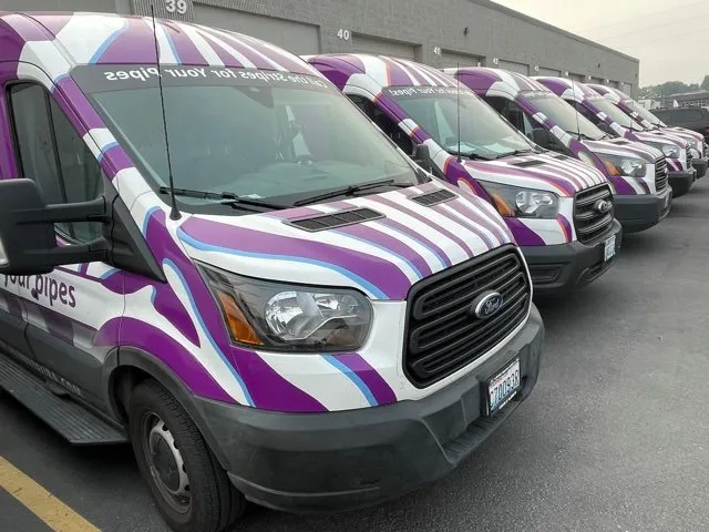 Slide of Plumb Zebra