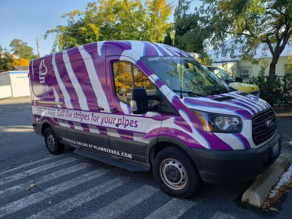 Slide of Plumb Zebra