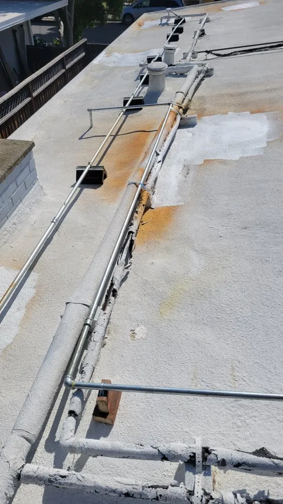 Slide of Plumber Bay - Opening Soon