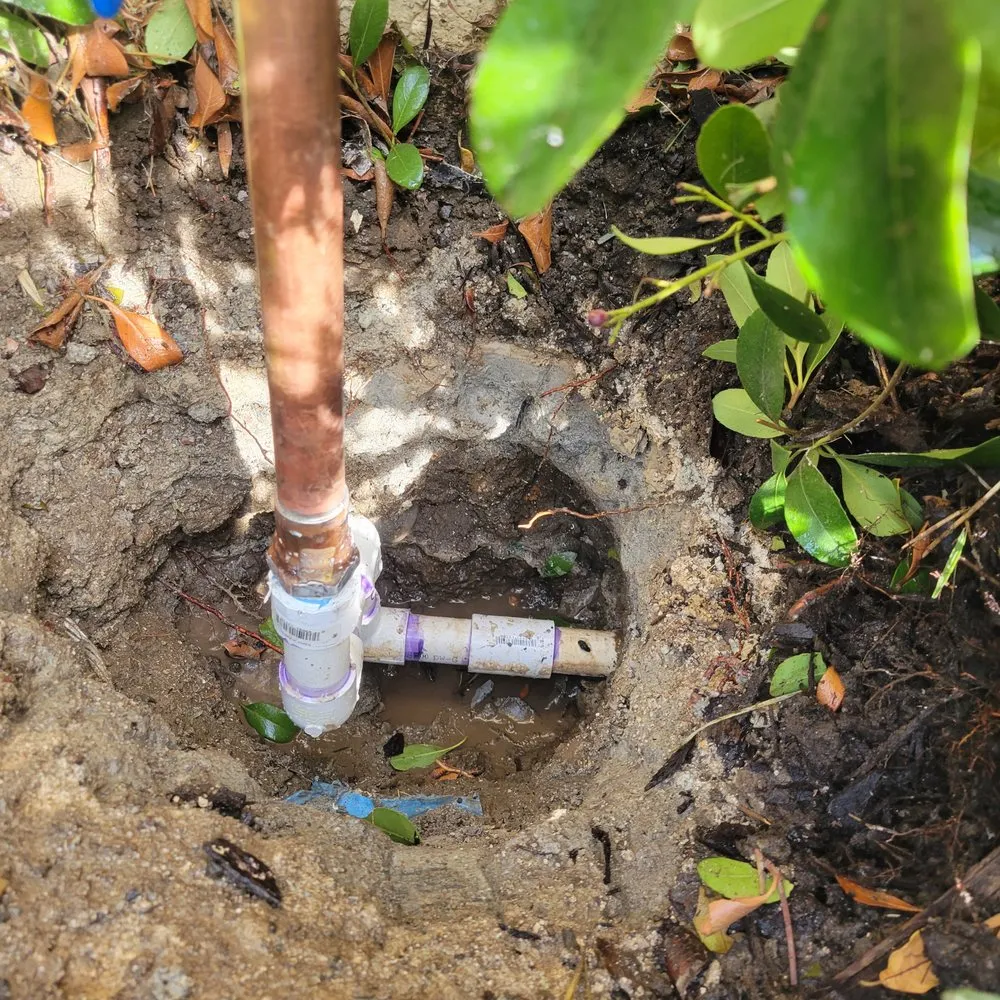 Slide of Plumber Bay - Opening Soon