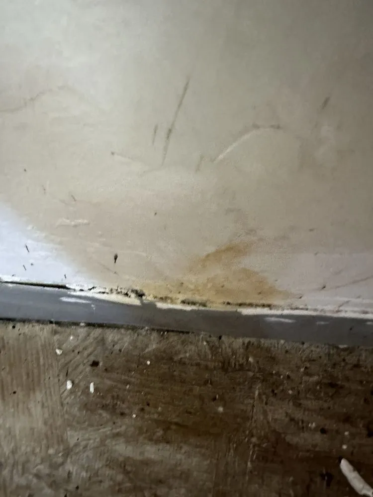 Slide of Plumber Boy