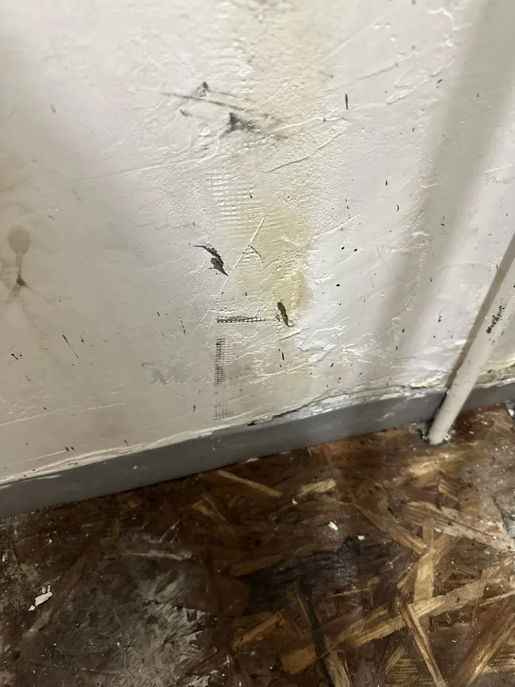 Slide of Plumber Boy