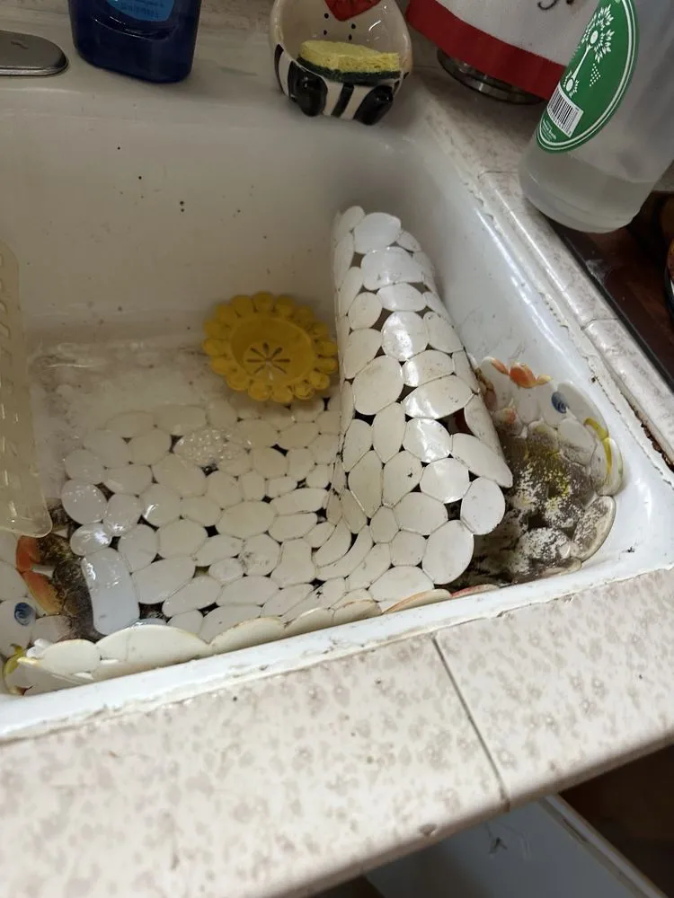 Slide of Plumber Boy