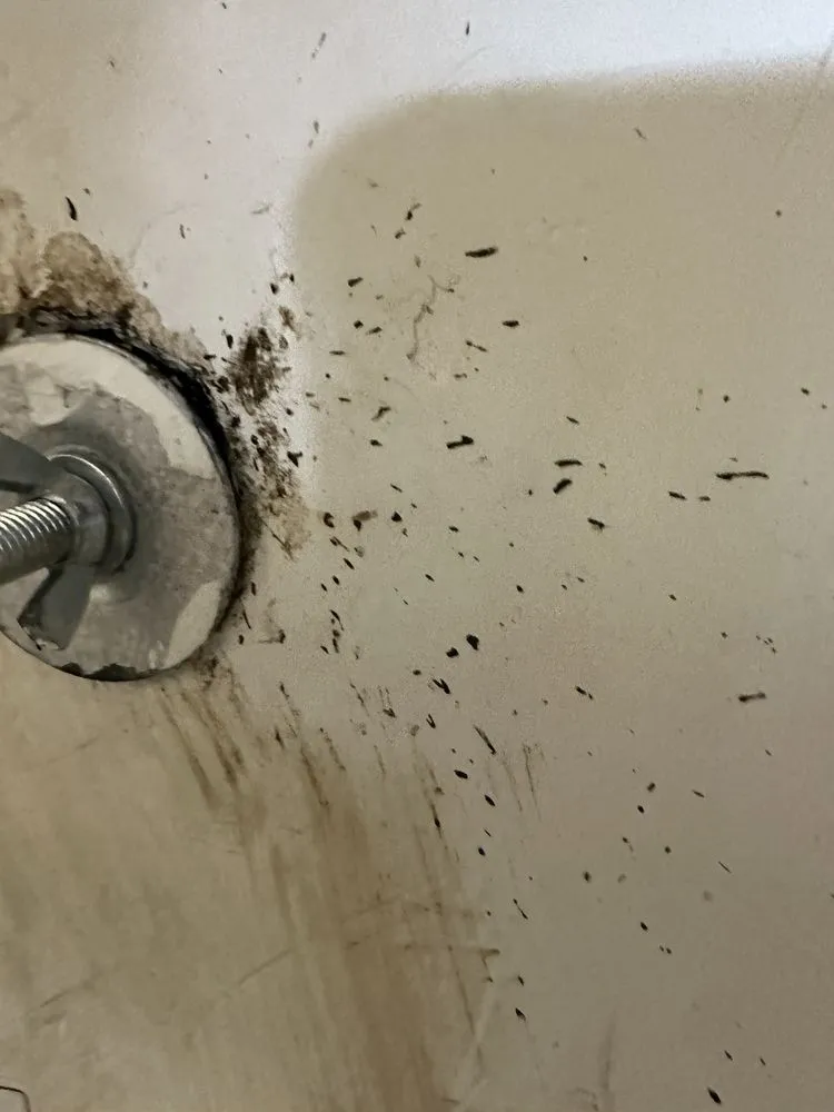 Slide of Plumber Boy