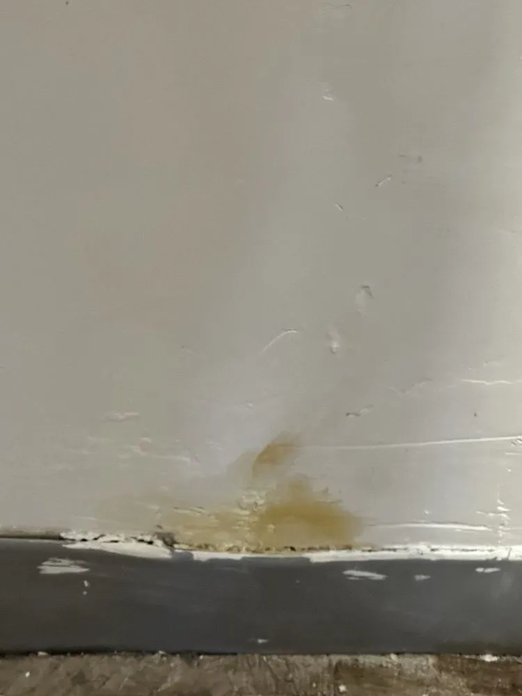 Slide of Plumber Boy