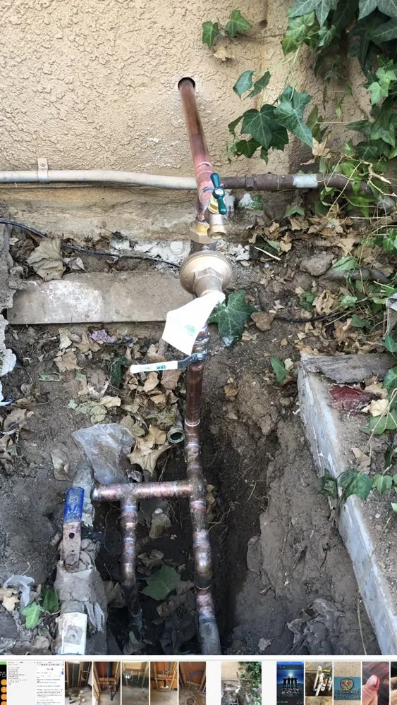 Slide of Plumber Duck